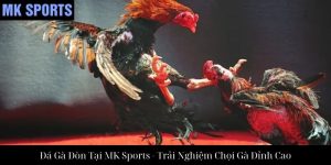 Đá Gà Cựa Dao Tại MK Sports: Trải Nghiệm Đỉnh Cao Của Chọi Kê